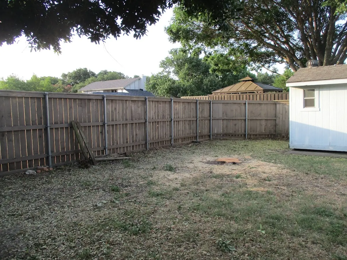 Cleared yard after professional tree removal in Alcove
